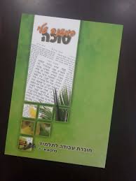 המשנה שלי - מסכת סוכה