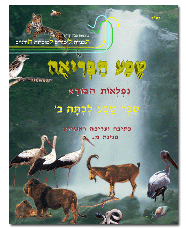 טבע הבריאה - לכיתה ב'